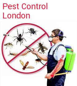 pest control London